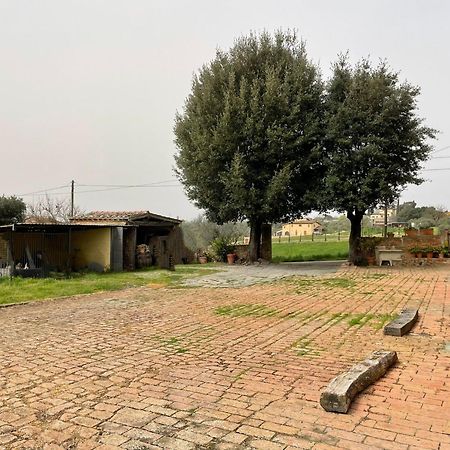 Podere Piazza Siena Ngoại thất bức ảnh