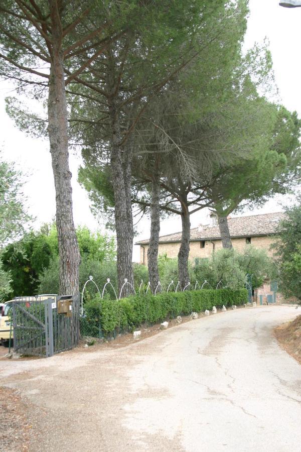Podere Piazza Siena Ngoại thất bức ảnh