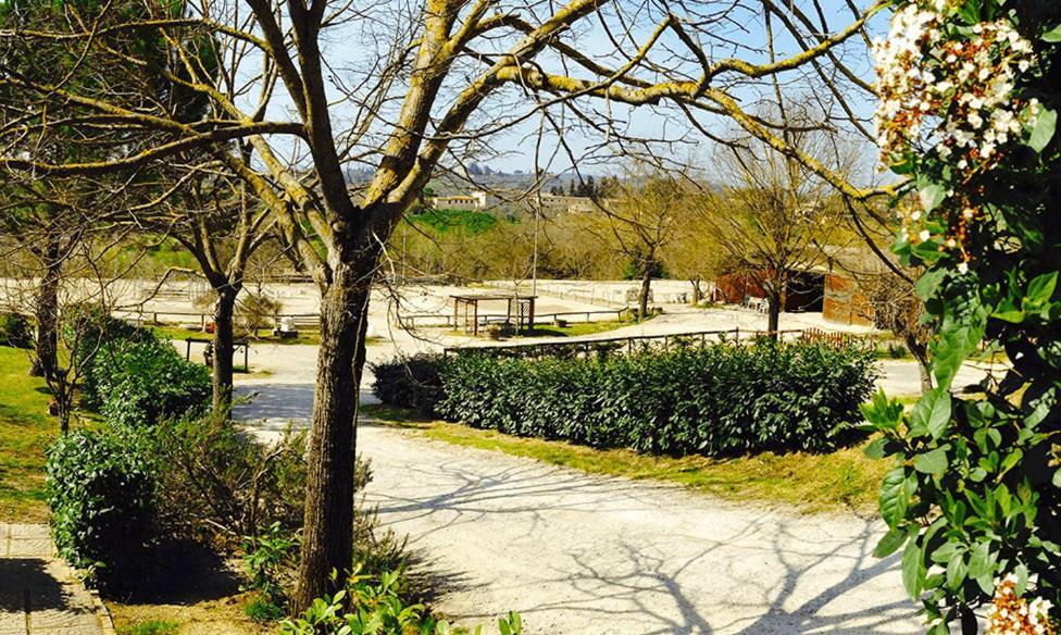 Podere Piazza Siena Ngoại thất bức ảnh